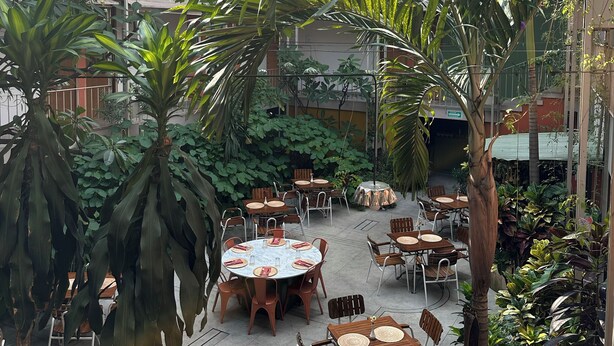 Un patio interior con varias mesas y sillas para comer, rodeado de abundante vegetación y plantas.