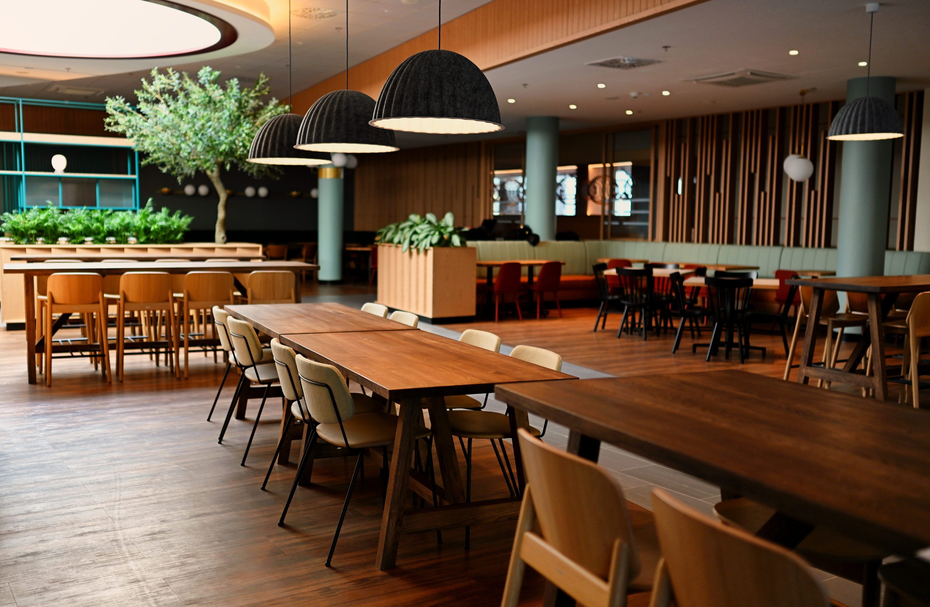 Un restaurante espacioso con mesas y sillas de madera, iluminación colgante y una gran planta como centro de mesa.