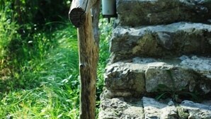A rustic wooden staircase leading up to a stone wall, surrounded by lush greenery. - Villa Rina (Amalfi)