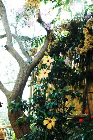 Property grounds - Villa Rina (Amalfi)