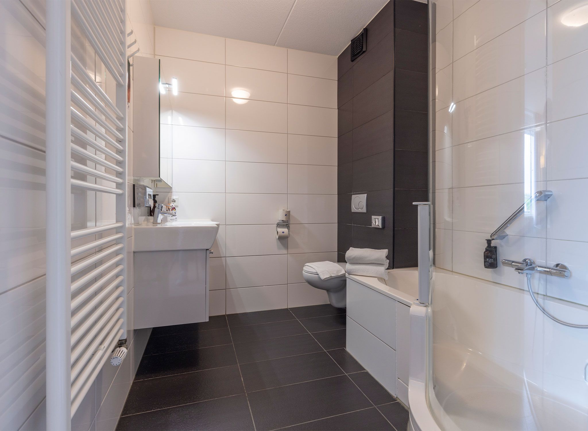 Un baño moderno con inodoro, lavabo y ducha.