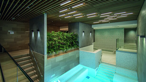 A modern indoor pool area with a glass railing, a wooden ceiling, and a green plant wall.