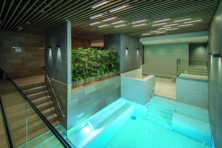 Salas de tratamiento para parejas, un sauna, una bañera de hidromasaje