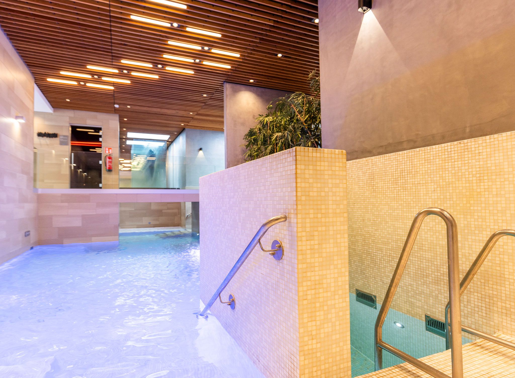 Un área de piscina interior moderna con superficie de agua cristalina, techo de madera con iluminación lineal y pared revestida con baldosas y una barandilla.