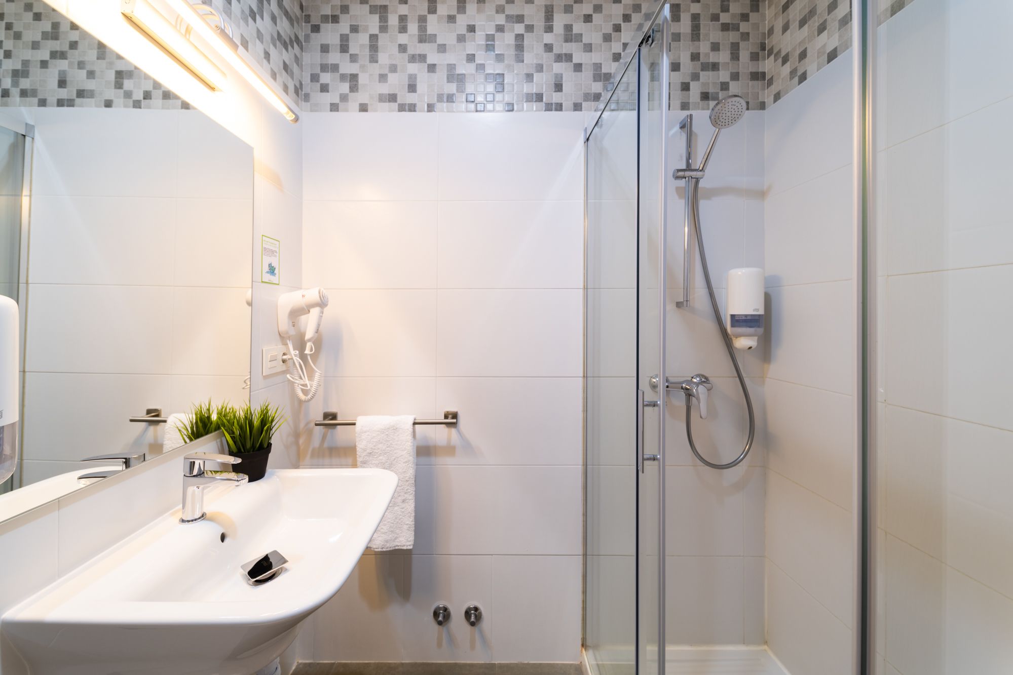 business single room | bathroom | shower, hair dryer, towels