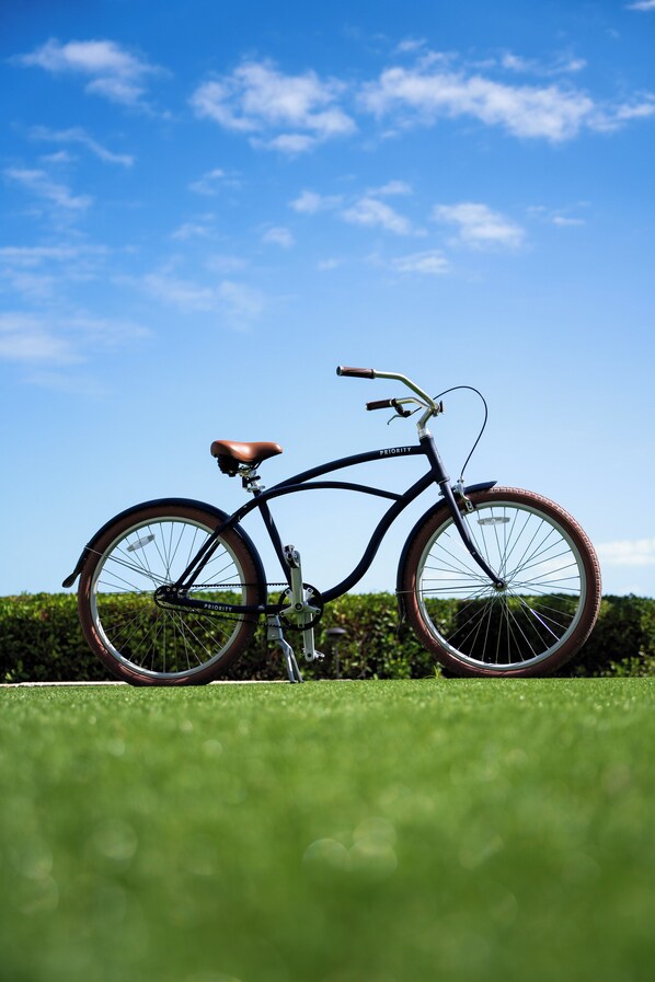 A bicycle with the brand name "PRIORITY" parked on a grassy field with a clear blue sky and some clouds in the background.