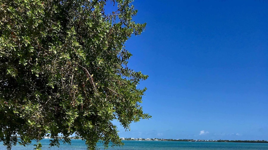 Parmer's Resort
