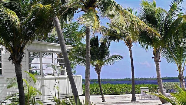 Un edificio blanco con un patio cubierto, rodeado de palmeras y vista al océano.