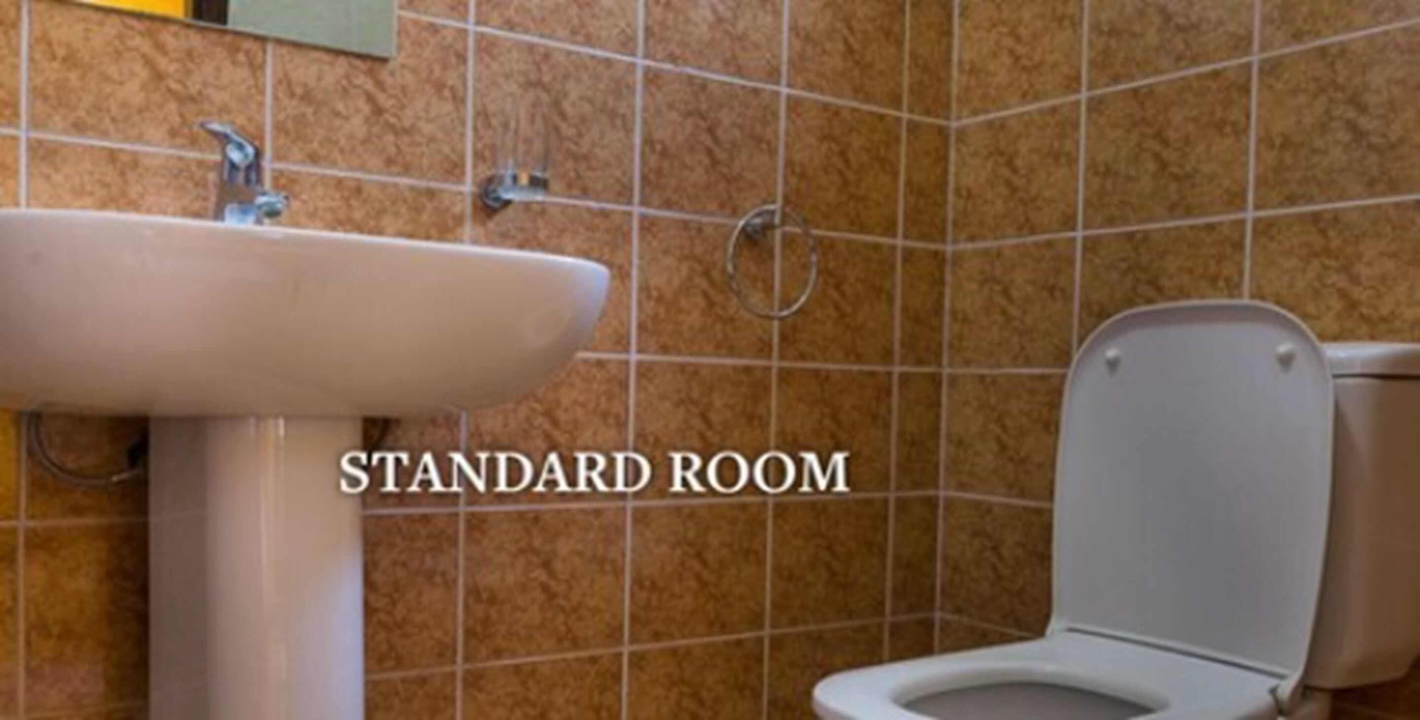 A standard room with a sink and toilet.