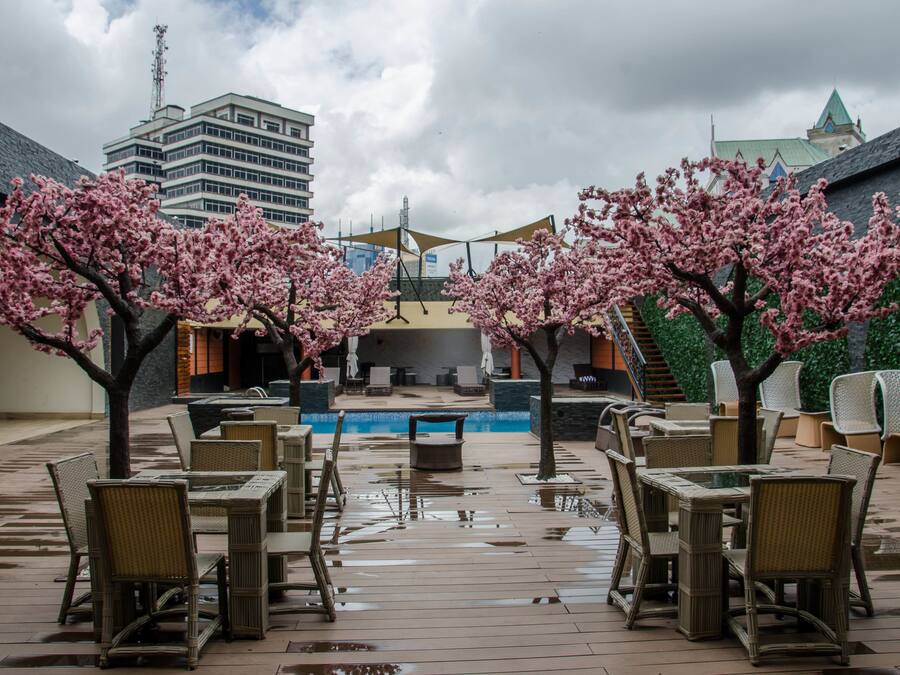 An outdoor seating area with tables and chairs, a pool, and cherry blossom trees.