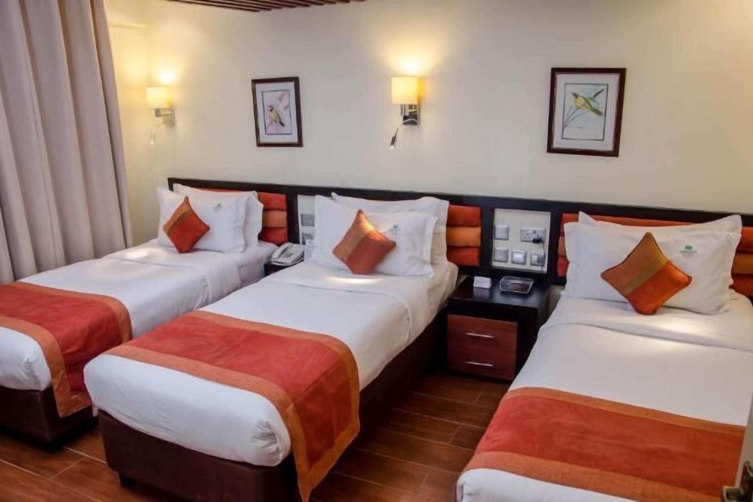 Sábanas de algodón egipcio, ropa de cama de alta calidad y minibar 