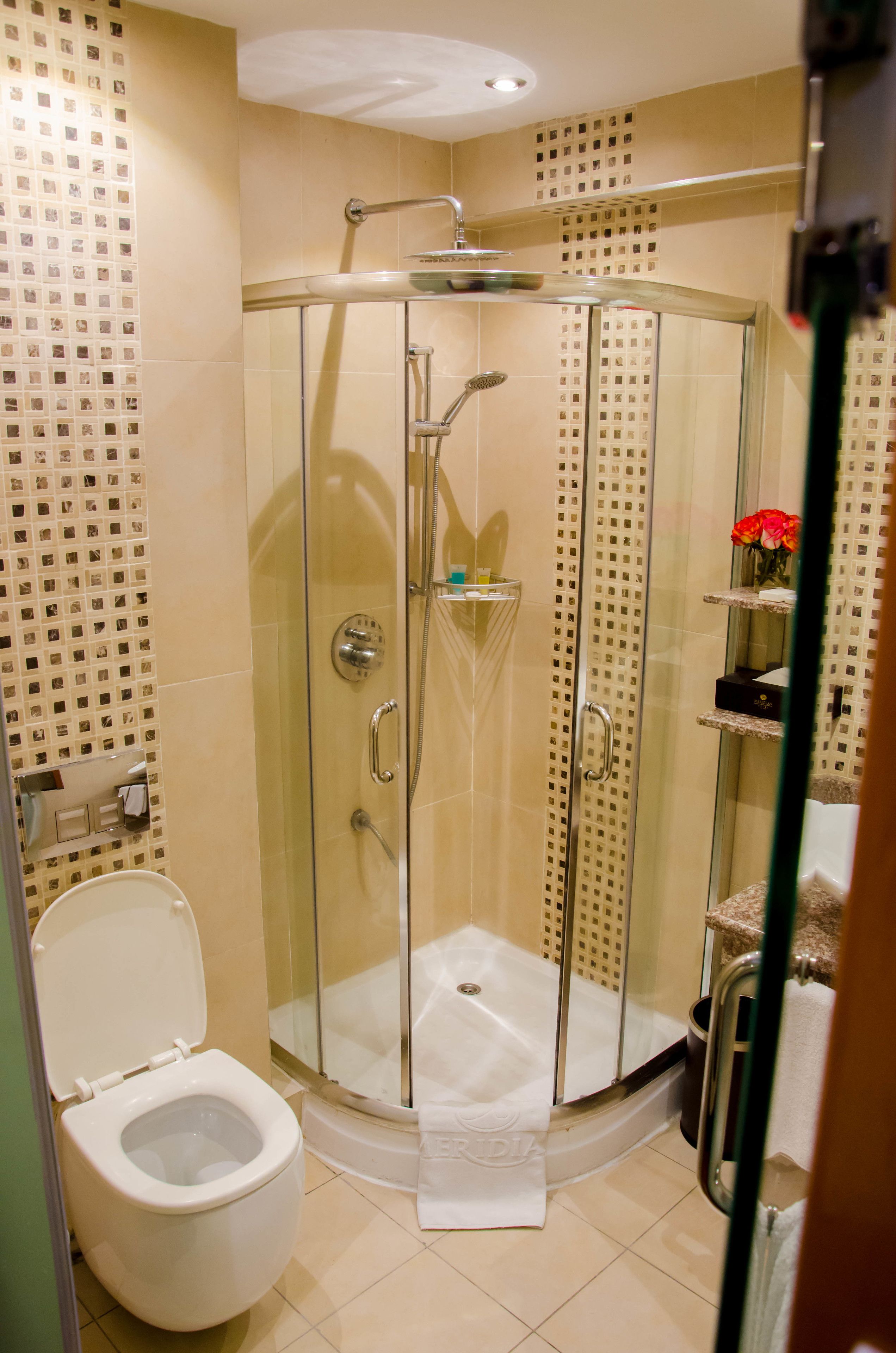 A bathroom with a glass-enclosed shower, a toilet, and a towel rack.