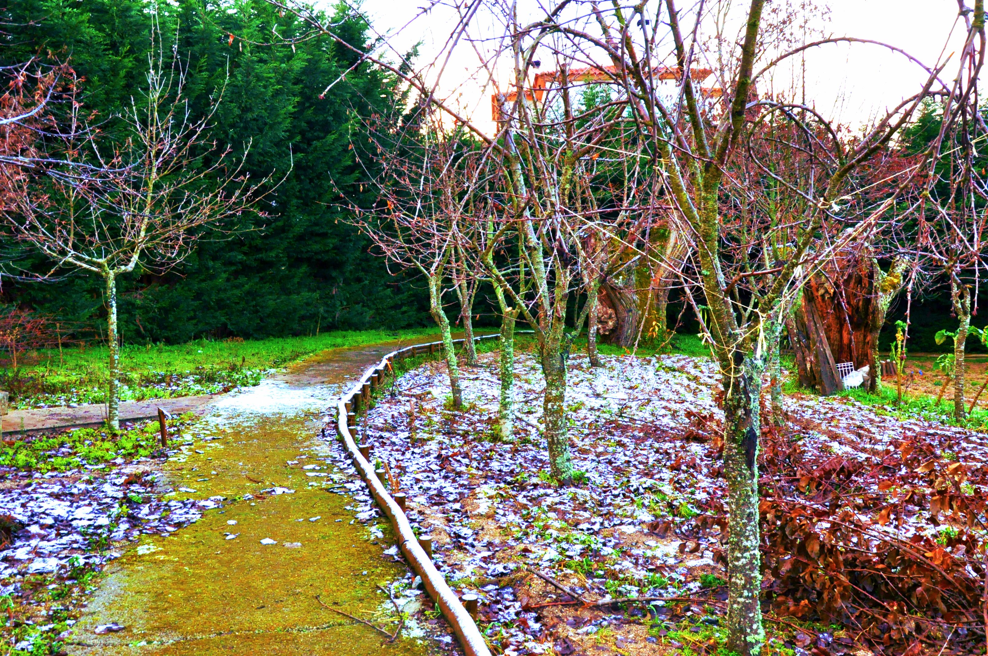 Servizio della struttura