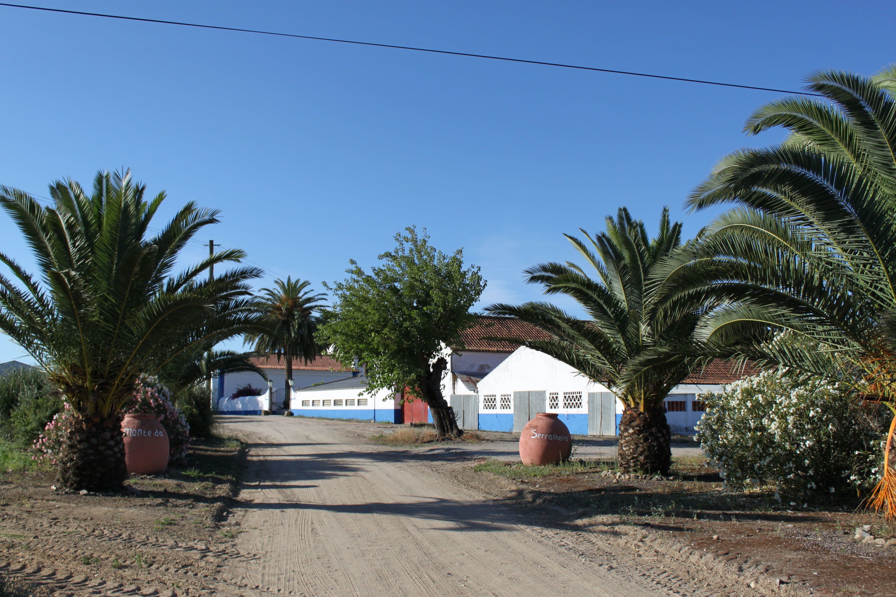 Foto - Monte Da Serralheira Agro Turismo