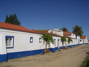 Property grounds - Monte da Serralheira, Agro-turismo (Évora)