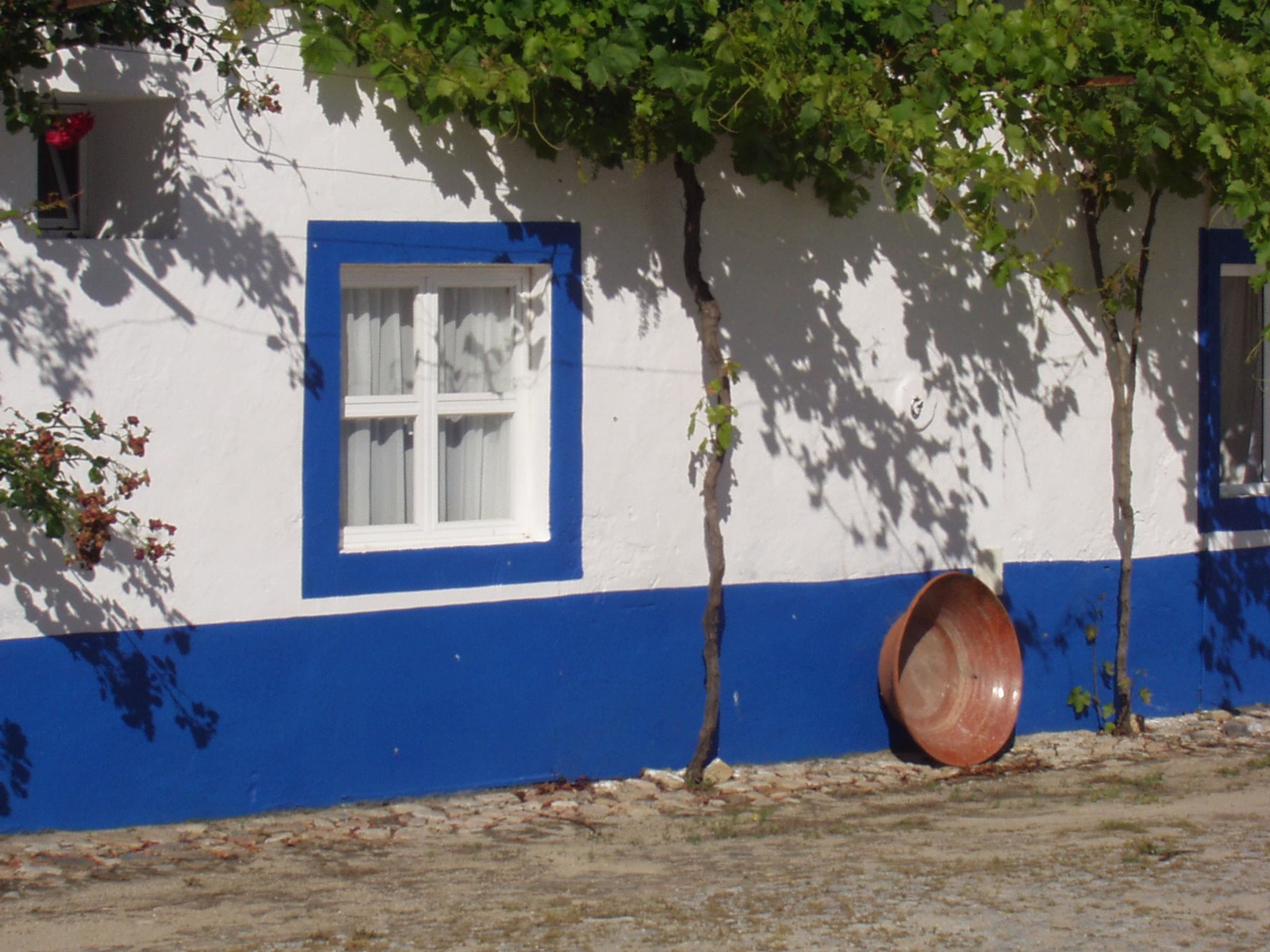 Foto - Monte Da Serralheira Agro Turismo