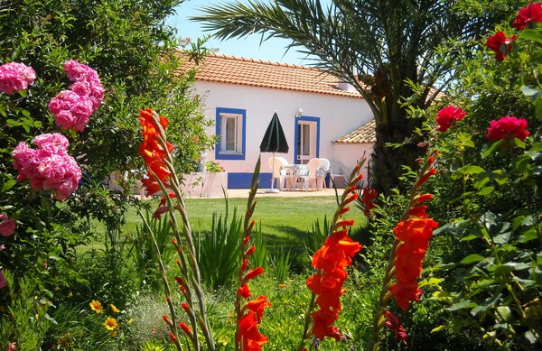 Monte Da Serralheira, Agro-turismo - Portugal