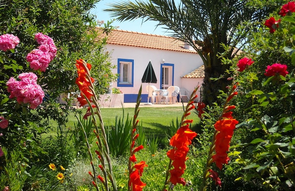 Property grounds - Monte da Serralheira, Agro-turismo (Évora)