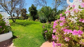 Exterior - Monte da Serralheira, Agro-turismo (Évora)