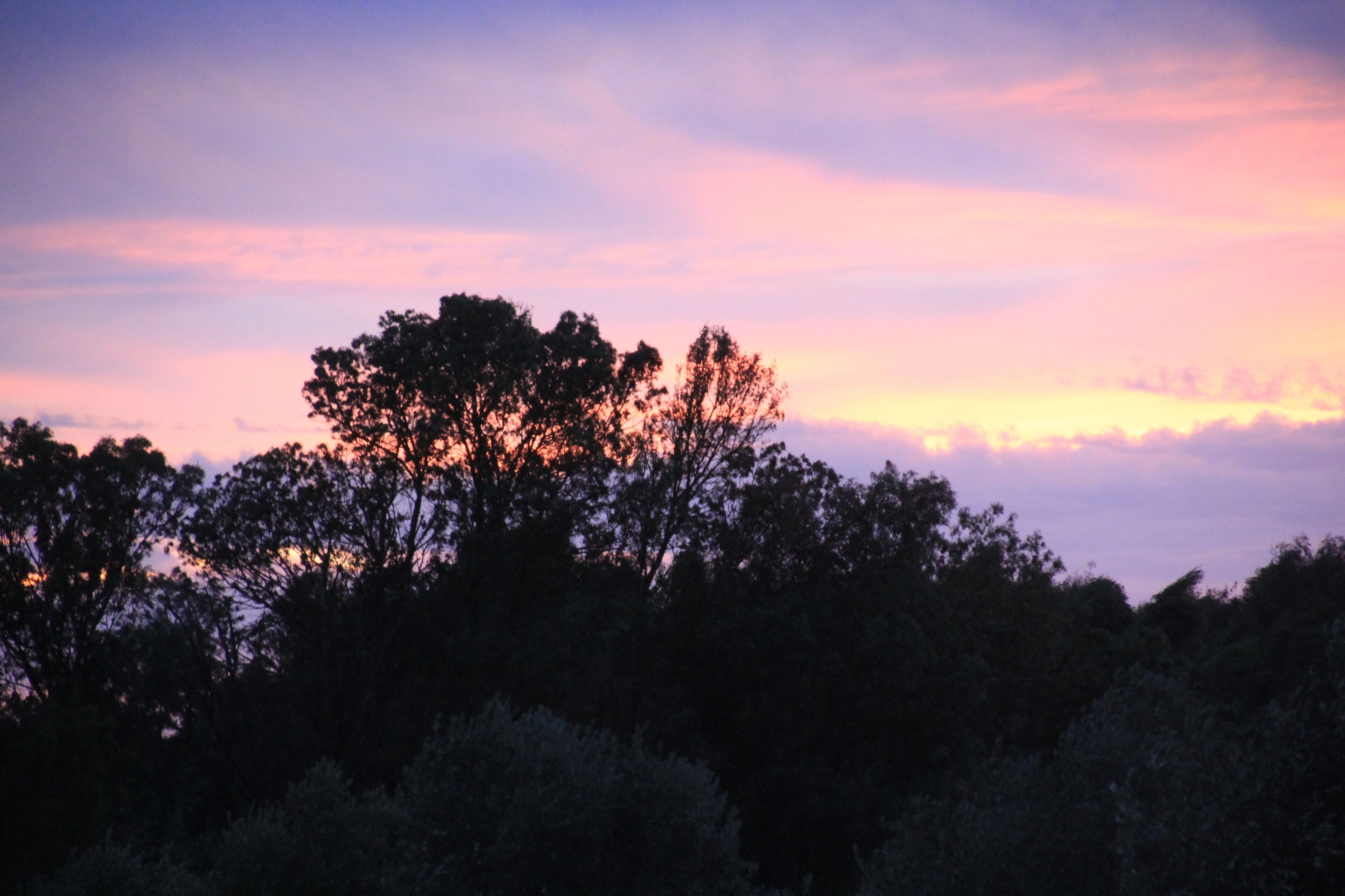 Foto - Monte Da Serralheira Agro Turismo