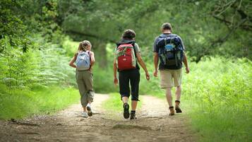 Three people walking on a dirt path surrounded by greenery.