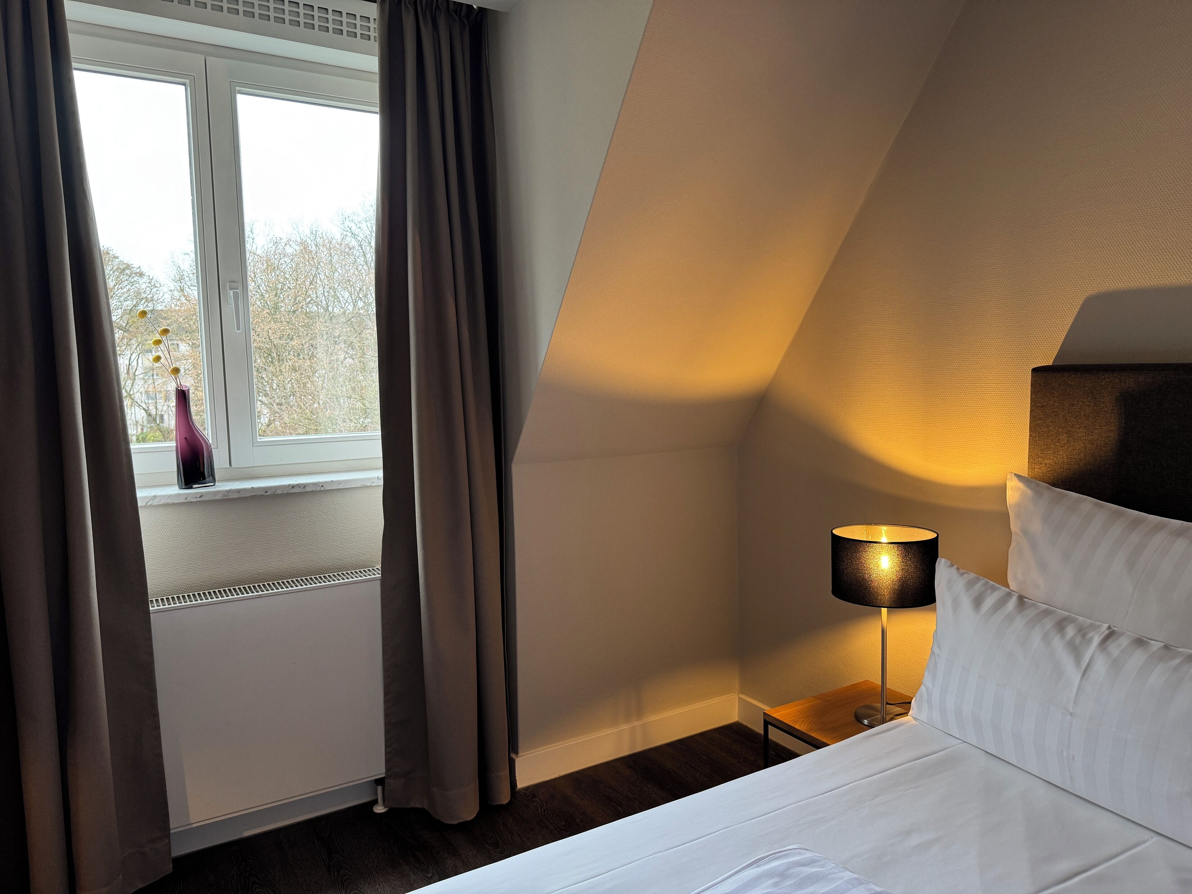 A hotel room with a bed, a nightstand with a lamp, a window with curtains, and a view of trees outside.