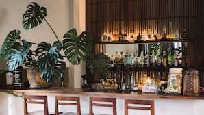 Uma área de bar com cadeiras de madeira, uma grande planta em vaso e diversos frascos e copos nas prateleiras.