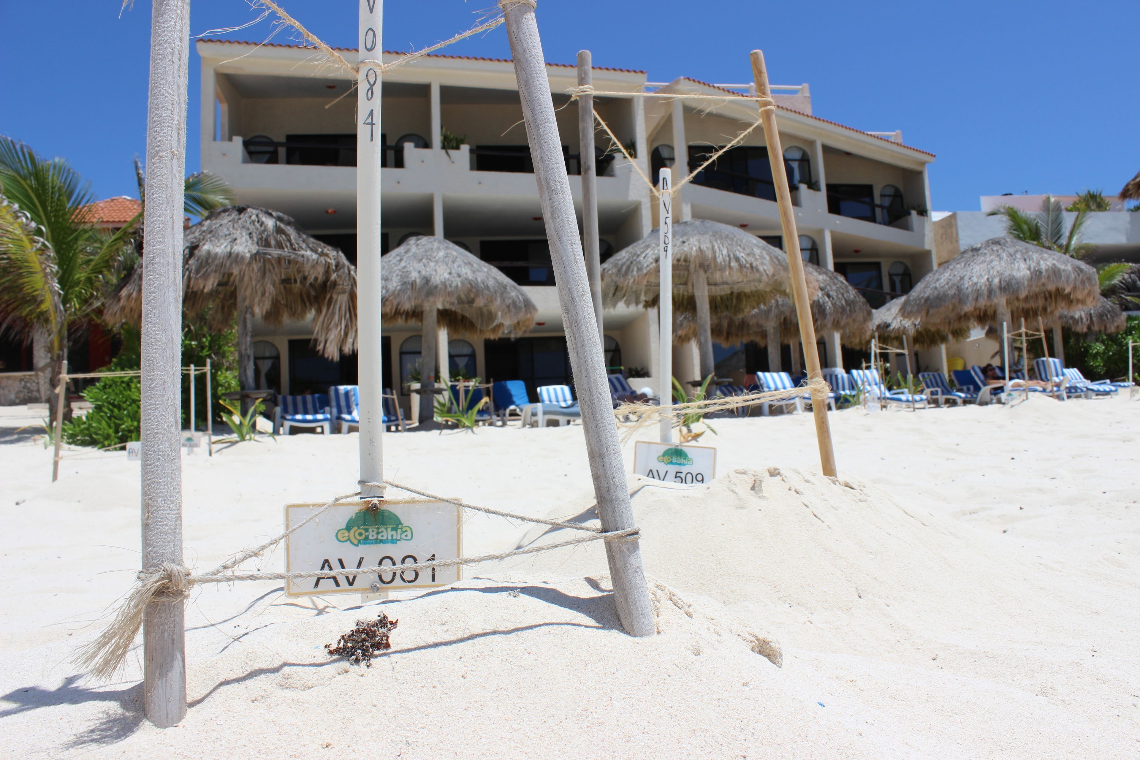 A beachfront hotel with multiple balconies, thatched umbrellas, and lounge chairs.