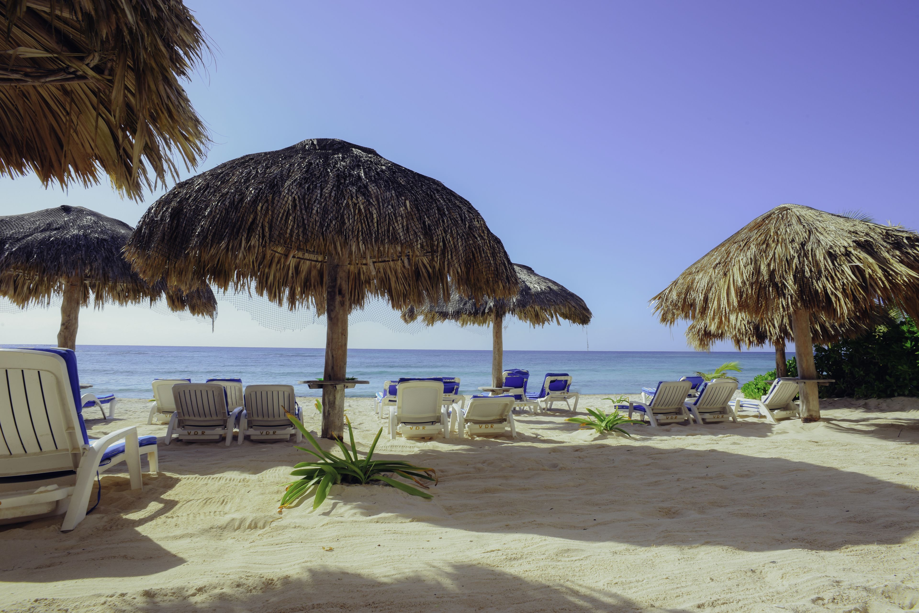 Une plage avec des parasols en chaume et des chaises longues blanches.