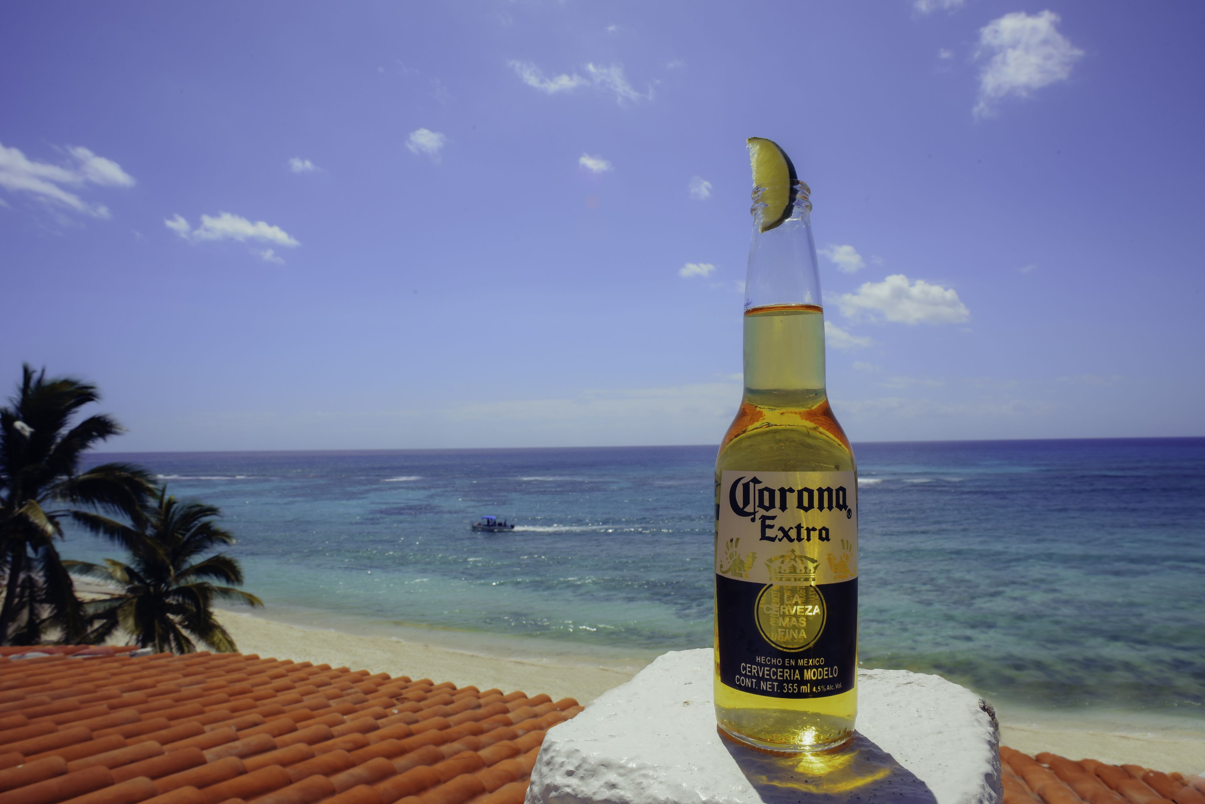 A bottle of Corona Extra beer on a white pedestal by a beach with palm trees and the ocean in the background.