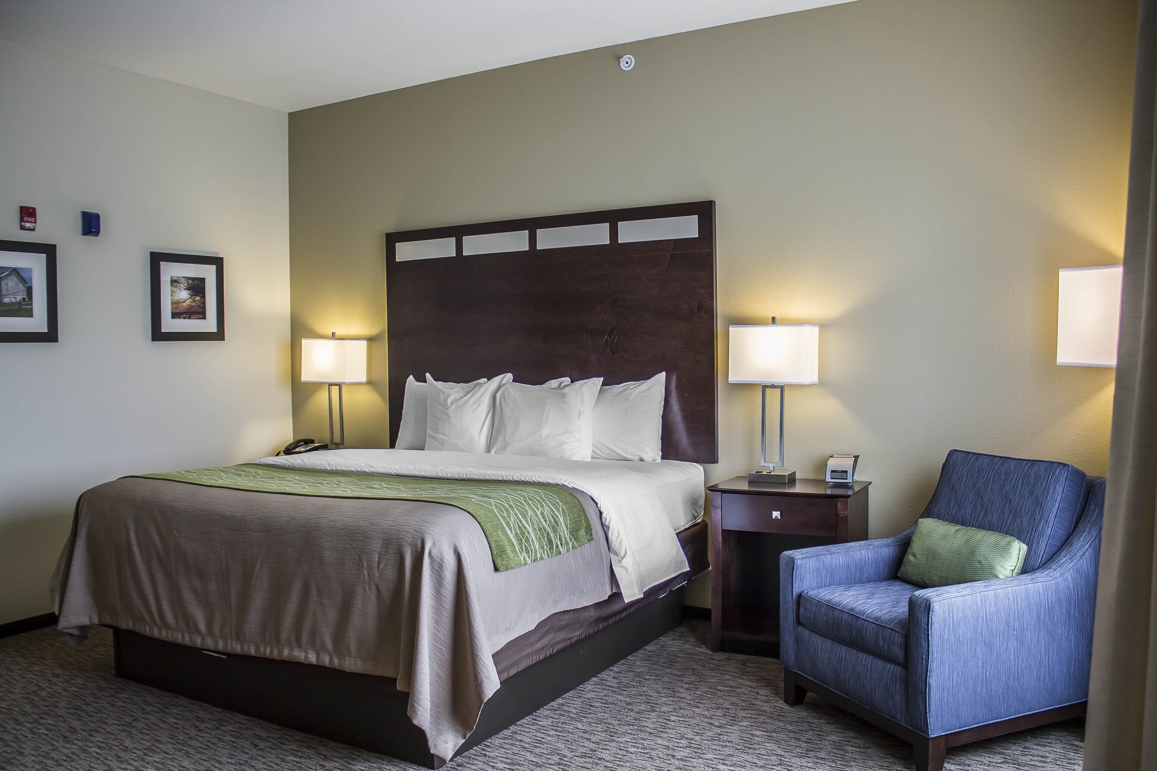 Standard Room, 1 King Bed, Non Smoking | Desk, laptop workspace, blackout drapes, iron/ironing board