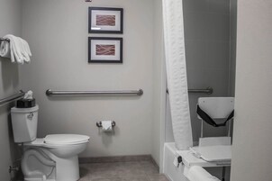 Combined shower/tub, free toiletries, hair dryer, towels