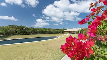 Outdoor pool, pool umbrellas