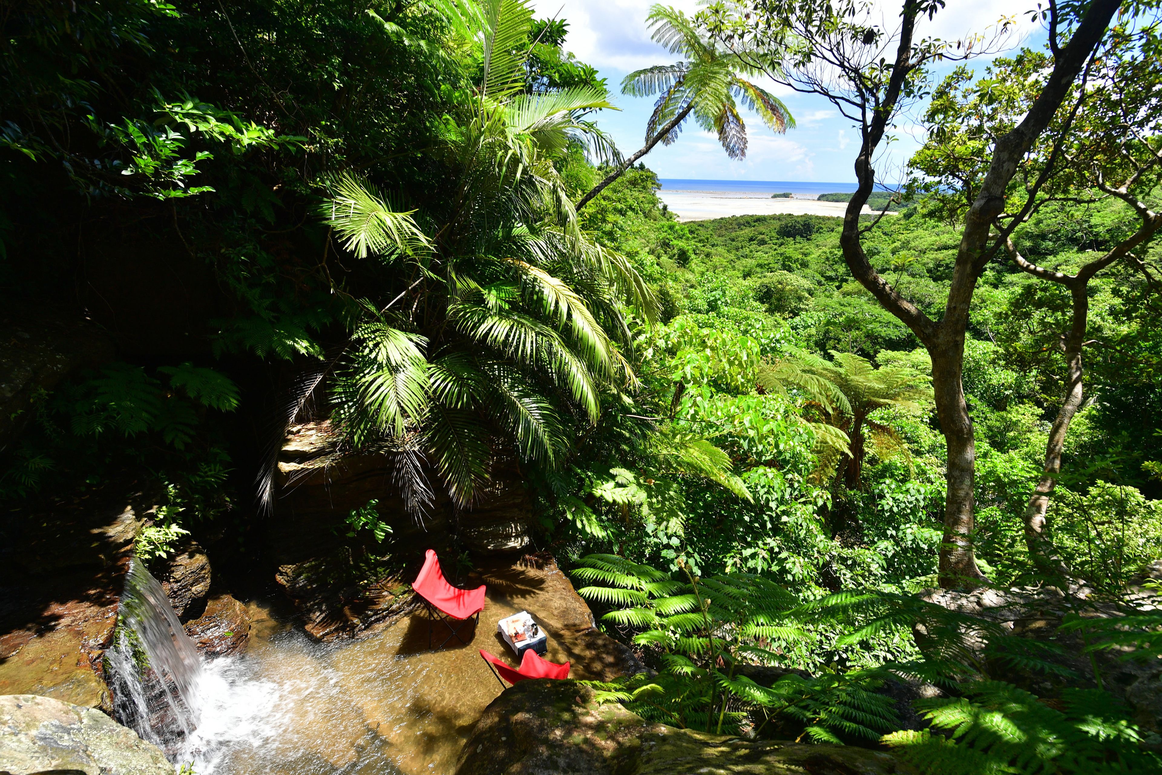 A lush tropical landscape with a waterfall, dense greenery, and a beach in the distance.