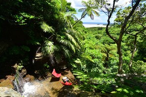 A lush tropical landscape with a waterfall, dense greenery, and a beach in the distance.