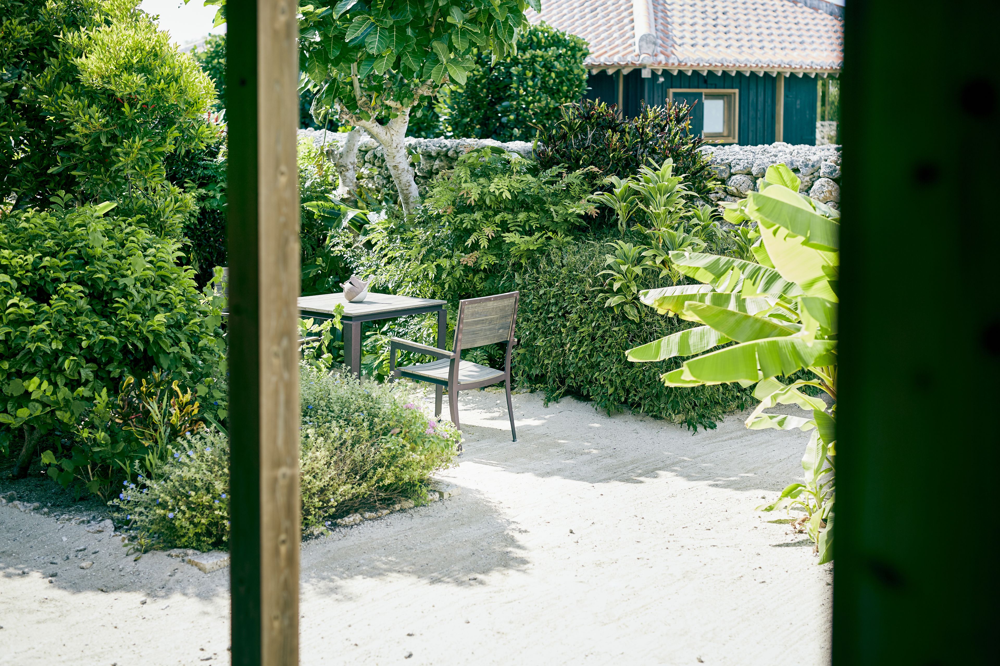 A garden with a table and chair, surrounded by dense foliage and a stone wall.