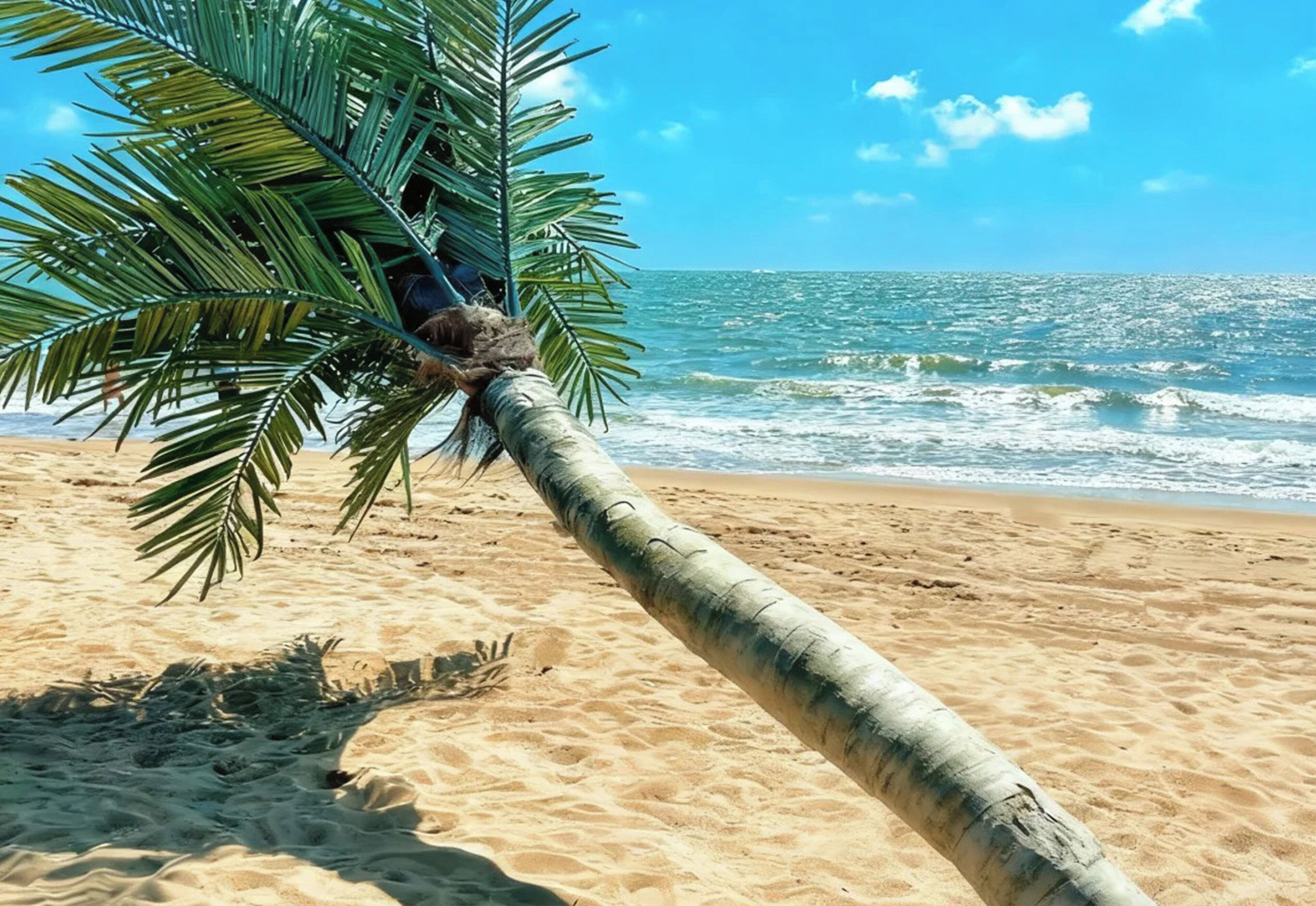 Tiện nghi, dịch vụ nơi lưu trú