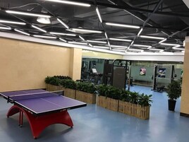 Servicios del alojamiento