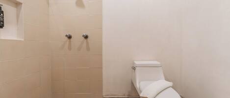 Une petite cabine de douche fermée, avec des toilettes sur le côté droit.