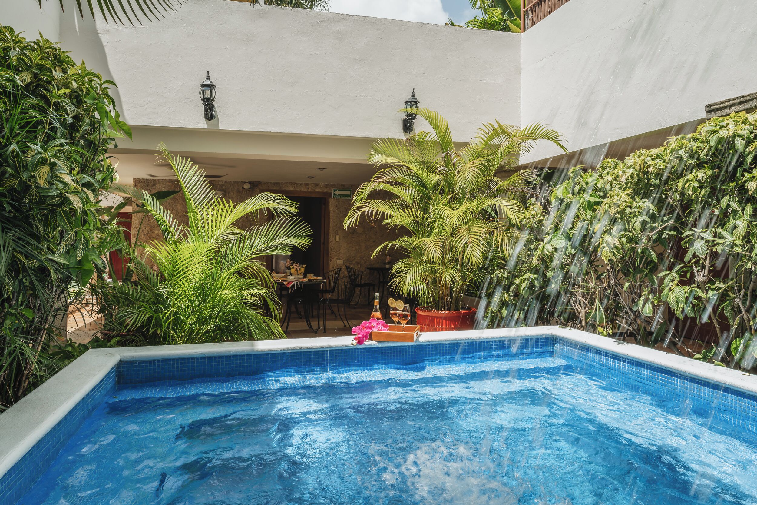 Une piscine entourée d’une végétation luxuriante et de plantes en pot, avec un espace repas visible au fond.