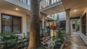Vista al jardín