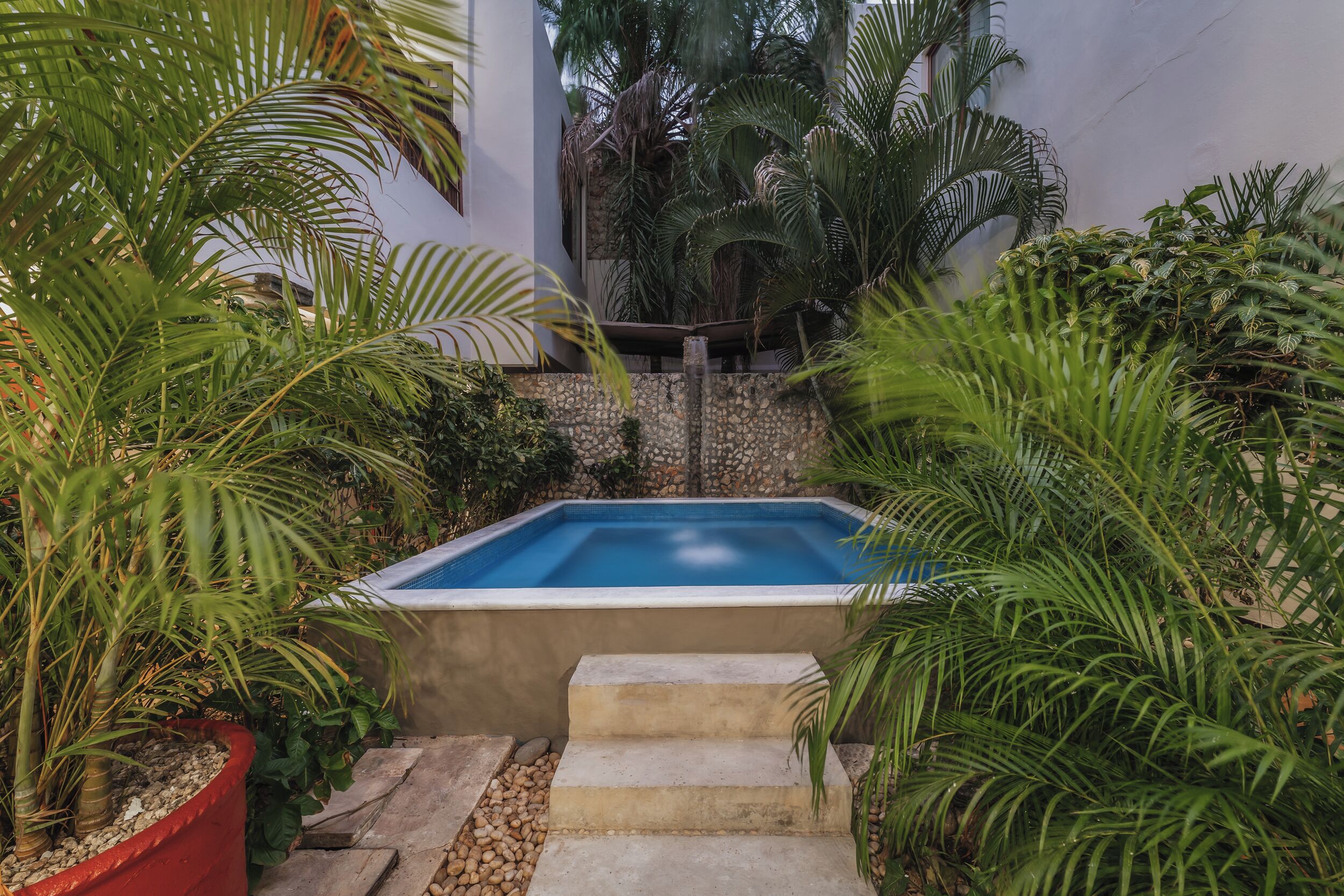 Une piscine rectangulaire bordée d’un mur en pierre et dotée de marches menant à l’eau, le tout entouré de différentes plantes tropicales.