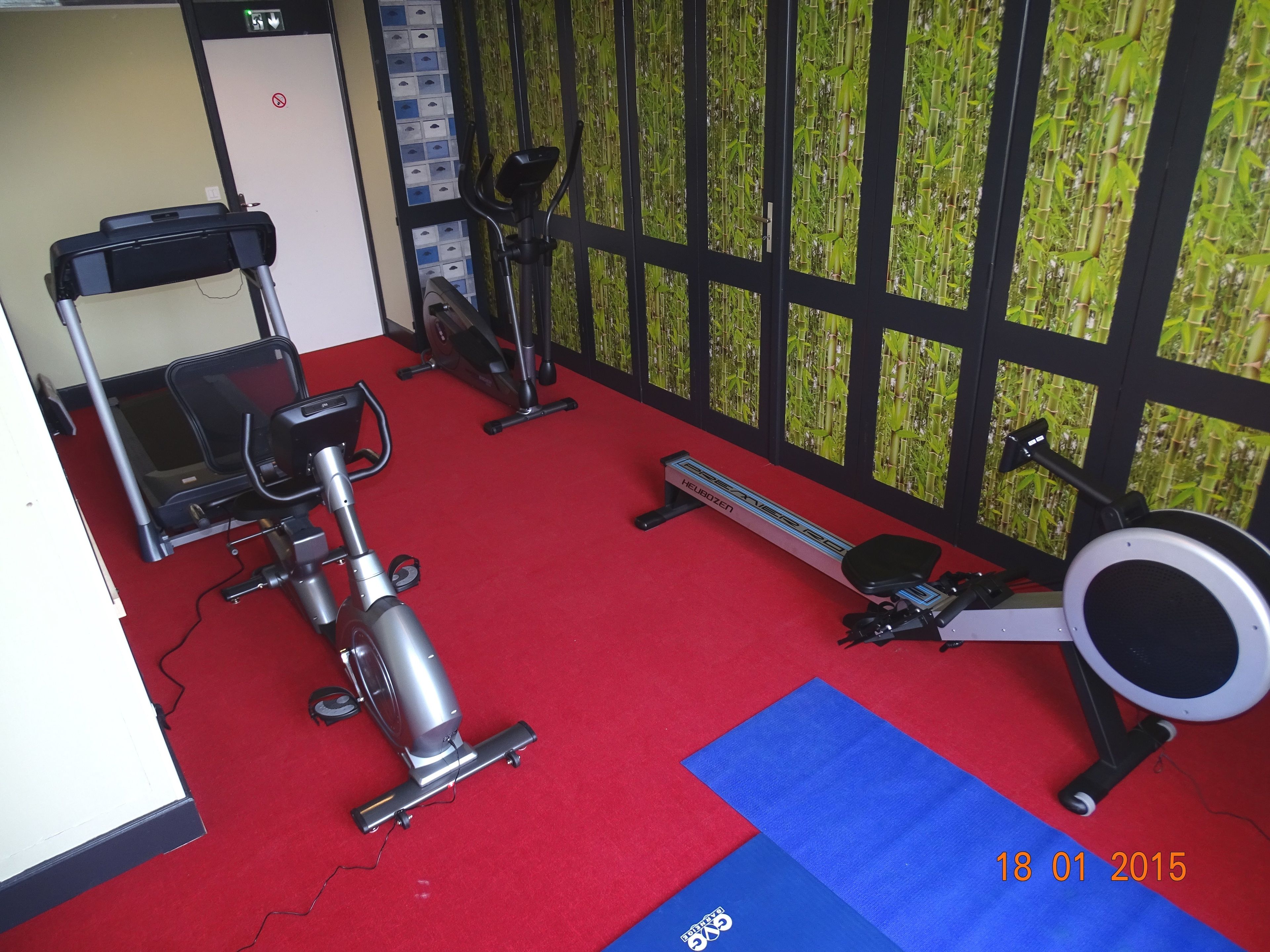 A gym with exercise equipment, a red carpet, and a bamboo-patterned wall.
