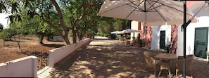 Teras/patio