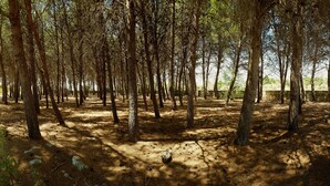 Property grounds - Tenuta Doxi (Sannicola)