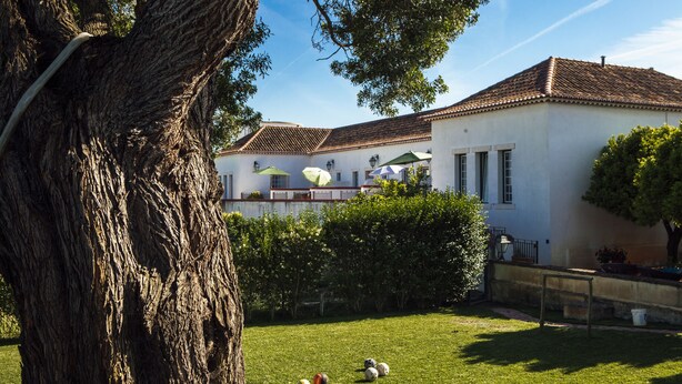 A white building with a tiled roof, surrounded by a well-maintained lawn and a large tree. - Quinta da Gafaria (Almeirim)
