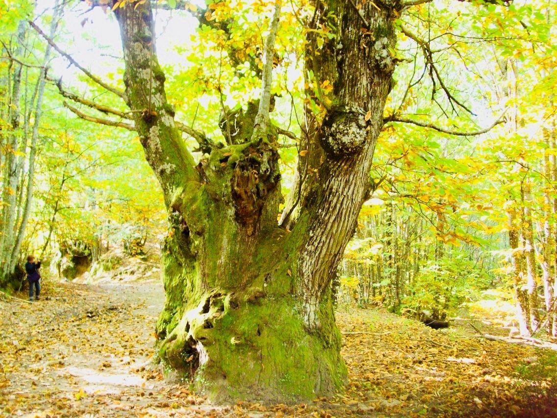 city view from property