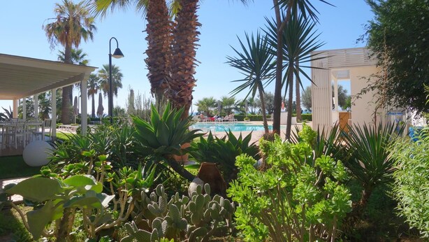 Een zwembadgedeelte met palmbomen en cactussen, omgeven door een overdekt terras en een gebouw.