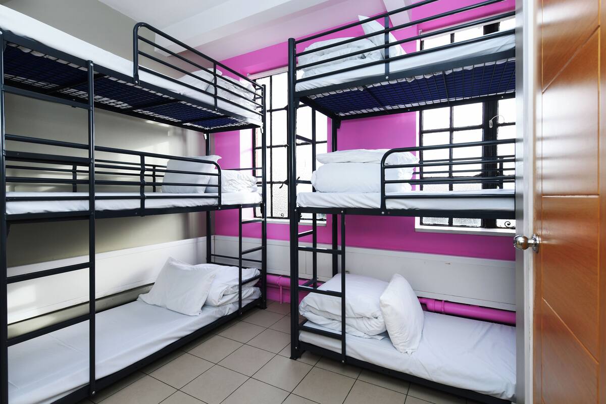 A dormitory room with bunk beds, pink walls, and a window.