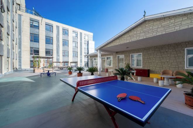 An outdoor ping pong table with a net, potted plants, and a building with large windows in the background.